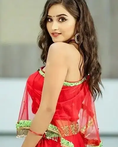 Escort In Velachery